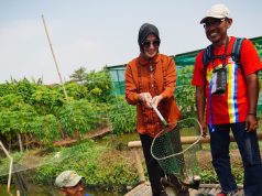 Wakil Walikota Balgis Tinjau Green Park Seruni, Manfaatkan Lahan Tak Produktif Jadi Kolam Ikan Patin