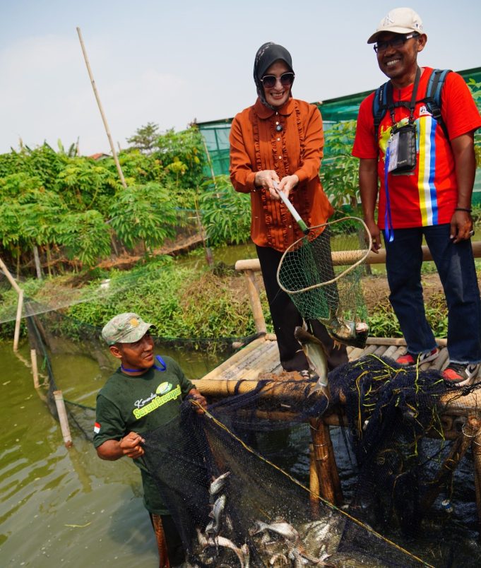 Wakil Walikota Balgis Tinjau Green Park Seruni, Manfaatkan Lahan Tak Produktif Jadi Kolam Ikan Patin