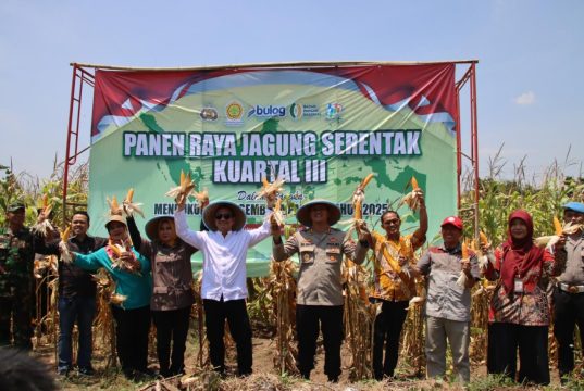 Pemkot Pekalongan – Polres Pekalongan Kota Panen Raya Jagung, Dukung Swasembada Pangan