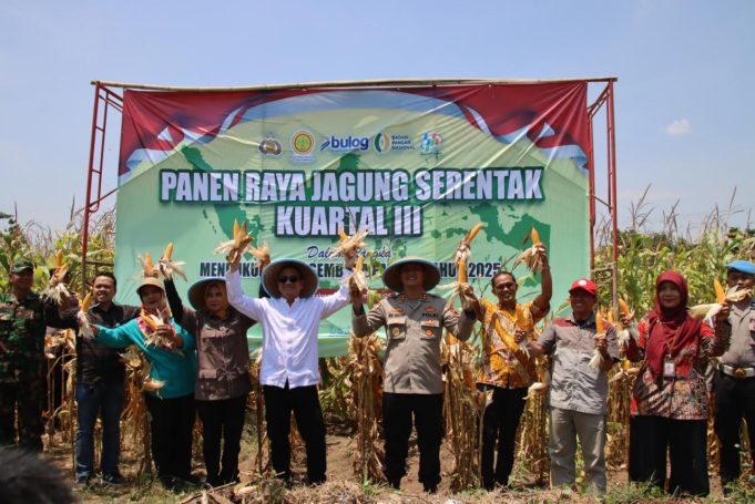 Pemkot Pekalongan – Polres Pekalongan Kota Panen Raya Jagung, Dukung Swasembada Pangan