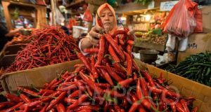 Masyarakat Diajak Stop Boros Pangan, Tekan Timbulan Sampah Organik