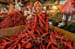 Masyarakat Diajak Stop Boros Pangan, Tekan Timbulan Sampah Organik