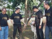 Pemkot Pekalongan Gelar ASN Berkurban, Sambut Hari Rata Idul Adha 1447 H