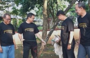 Pemkot Pekalongan Gelar ASN Berkurban, Sambut Hari Rata Idul Adha 1447 H
